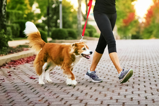 Woman walking dog in pet hair free leggings